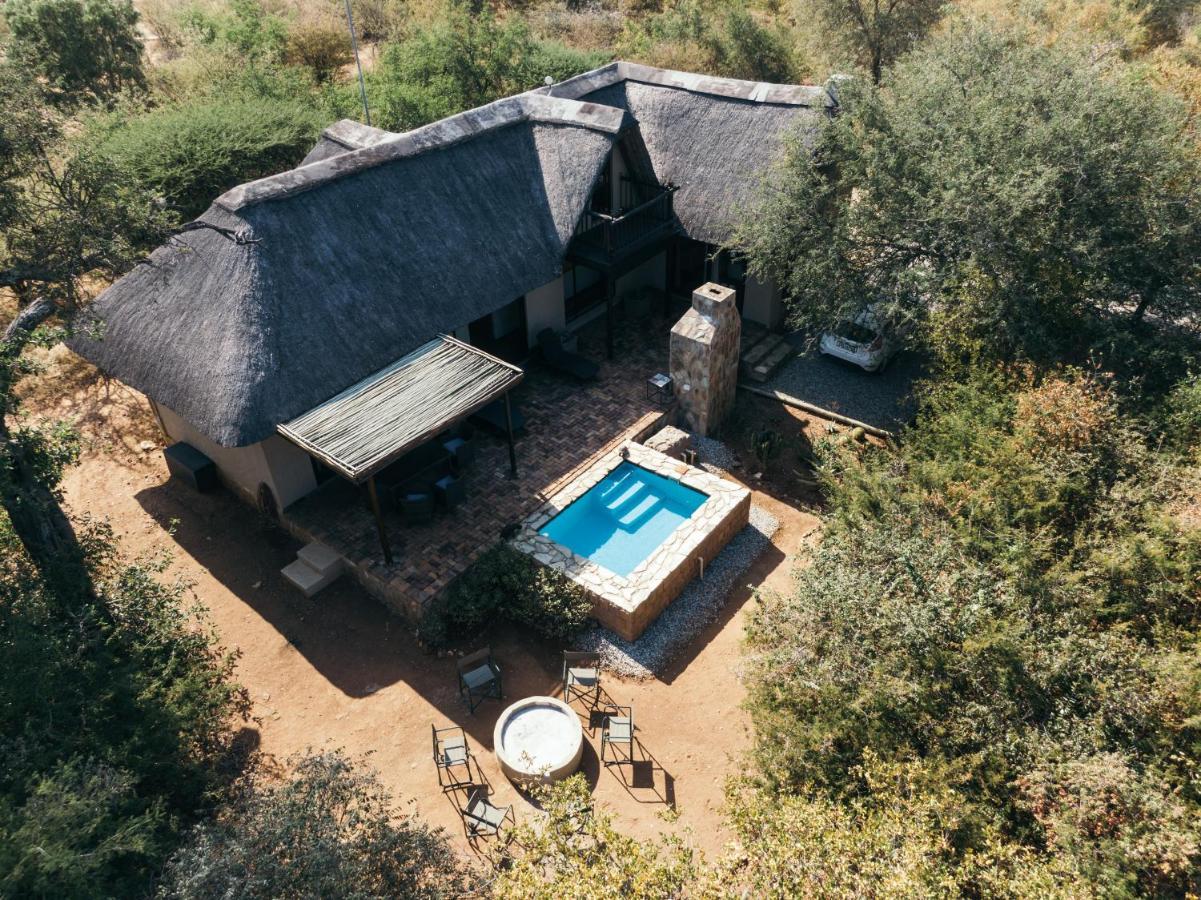 Giraffe Hoedspruit