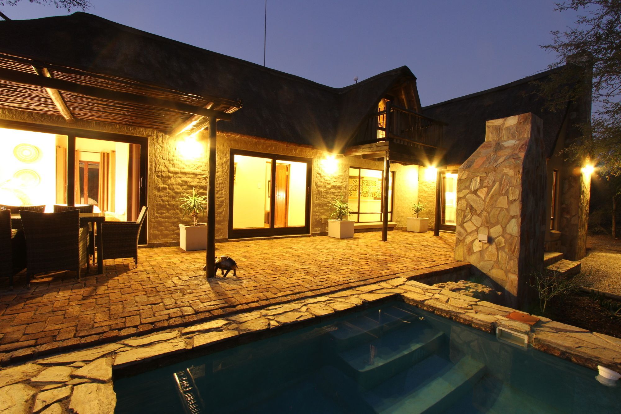 Giraffe Hoedspruit