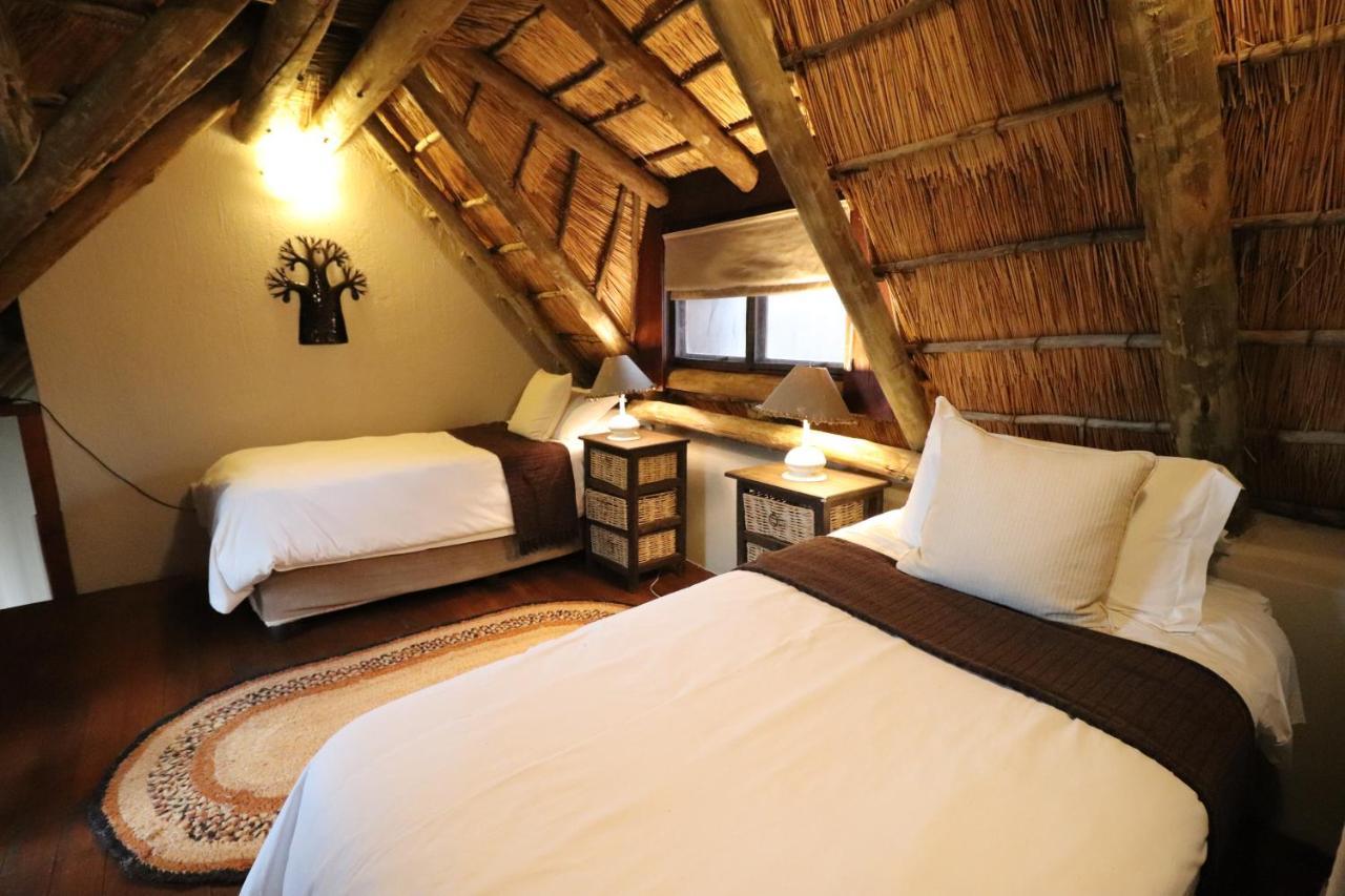 Lodge Giraffe
