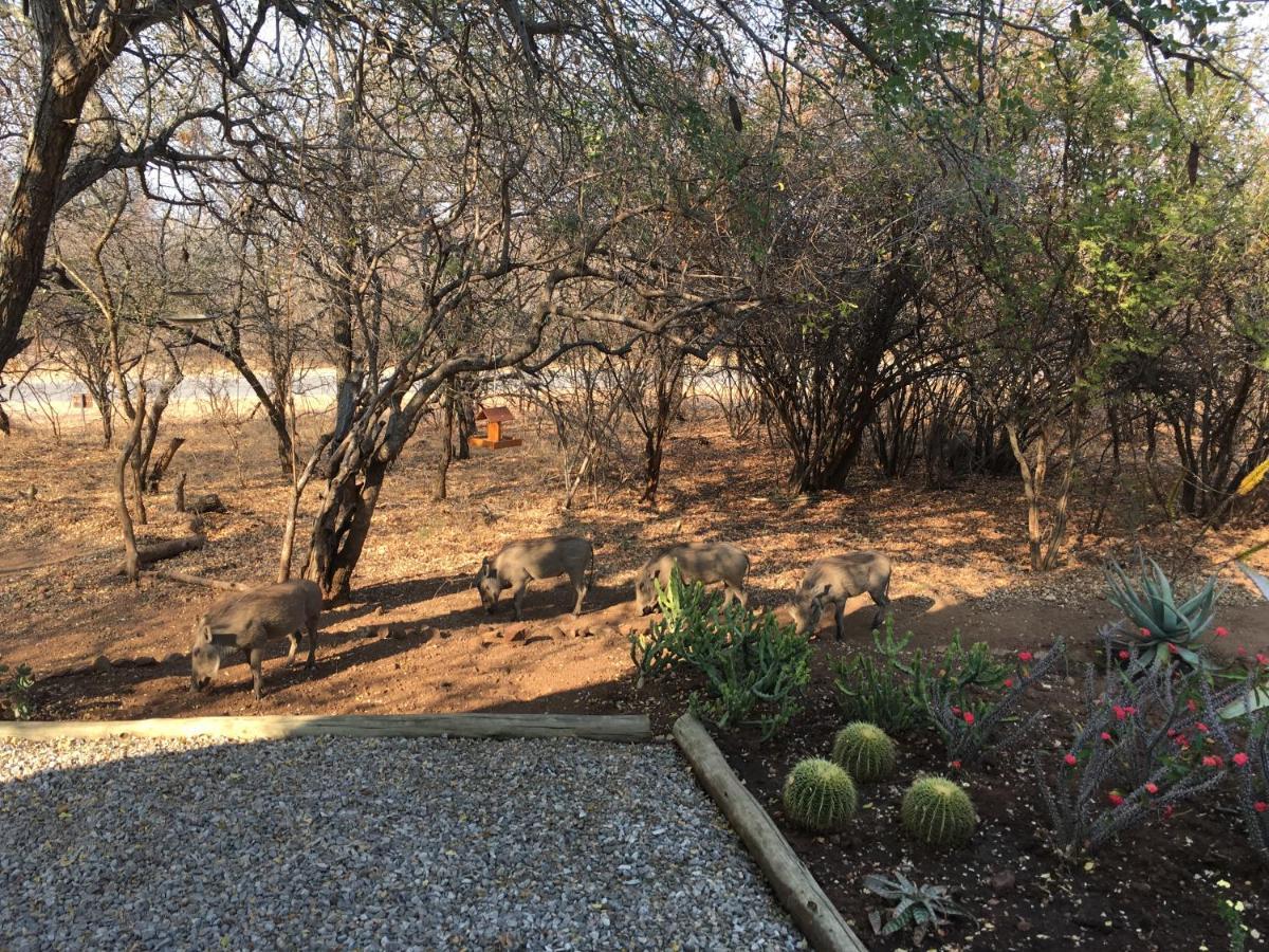 Giraffe Lodge *
