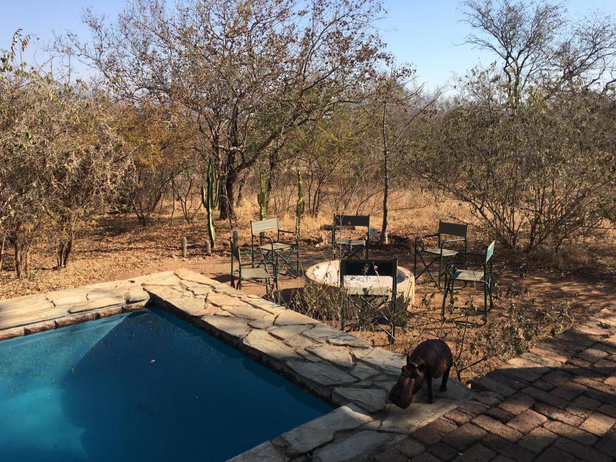Lodge Giraffe Hoedspruit