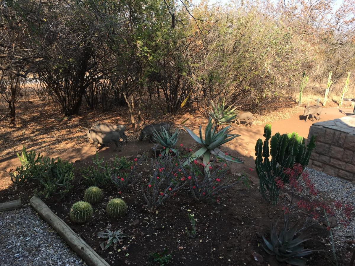 Lodge Giraffe Hoedspruit
