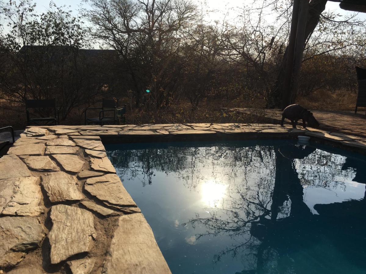 Lodge Giraffe *
