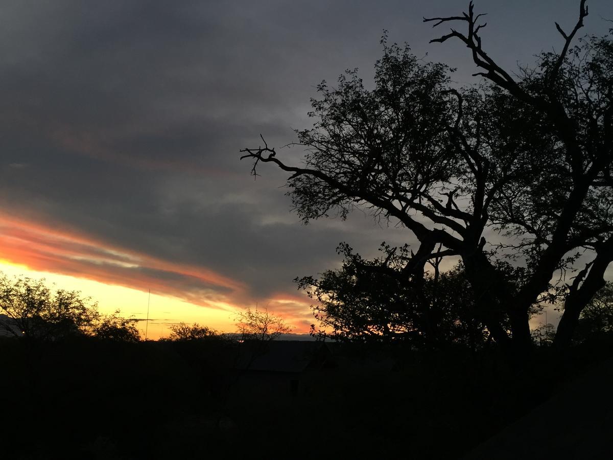Giraffe Lodge Hoedspruit